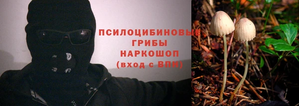 крисы Костерёво