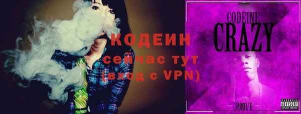 трава Корсаков