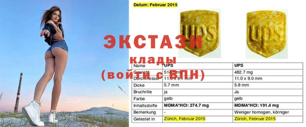 трава Корсаков