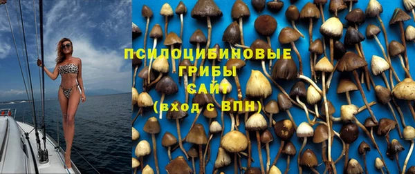 таблы Краснослободск
