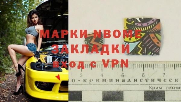 трава Корсаков