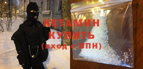 трава Корсаков