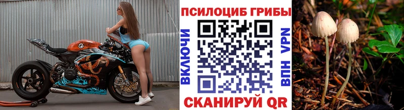 Псилоцибиновые грибы Psilocybine cubensis  цены наркотик  Называевск 